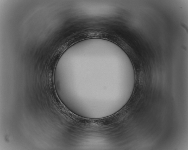 X0000103490737200809120950