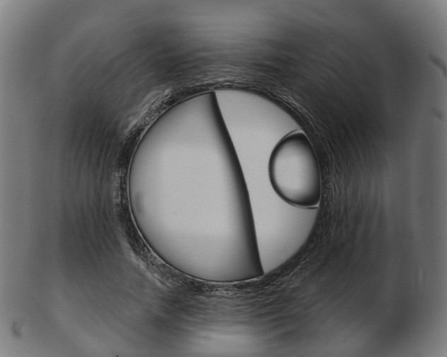 X0000103490738200809120950