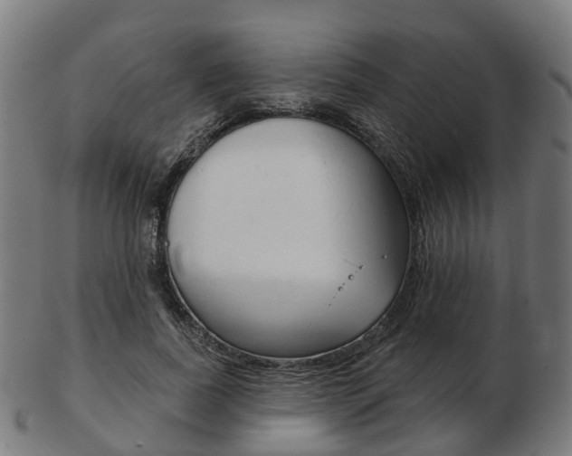 X0000103490739200809120950