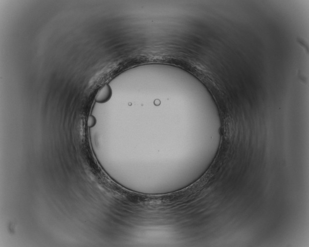 X0000103490740200809120950