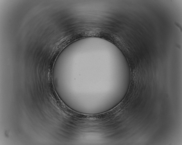 X0000103490741200809120950