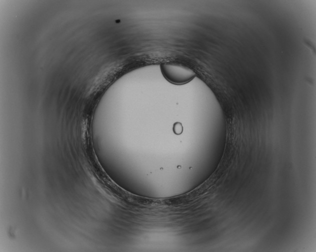 X0000103490742200809120950
