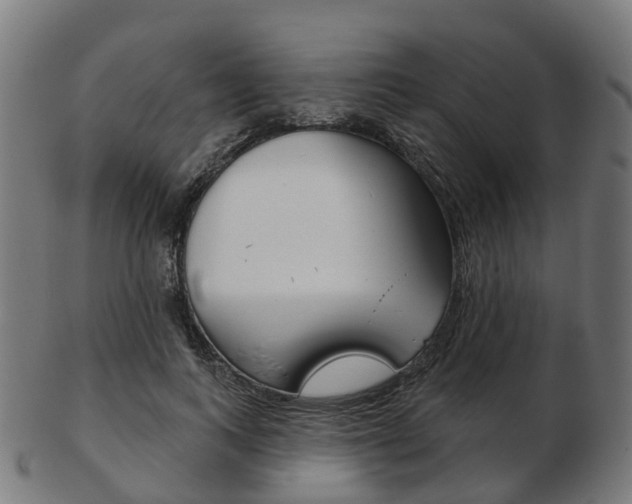 X0000103490743200809120950