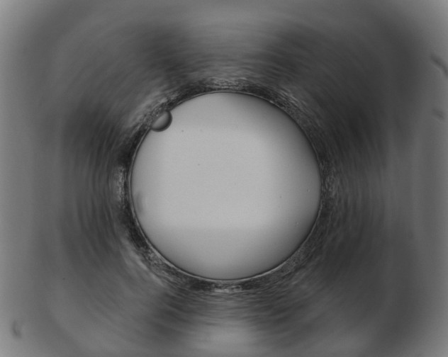 X0000103490744200809120950