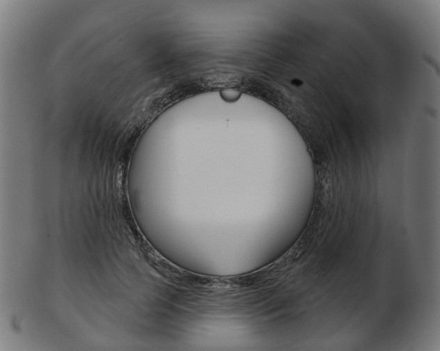 X0000103490745200809120950