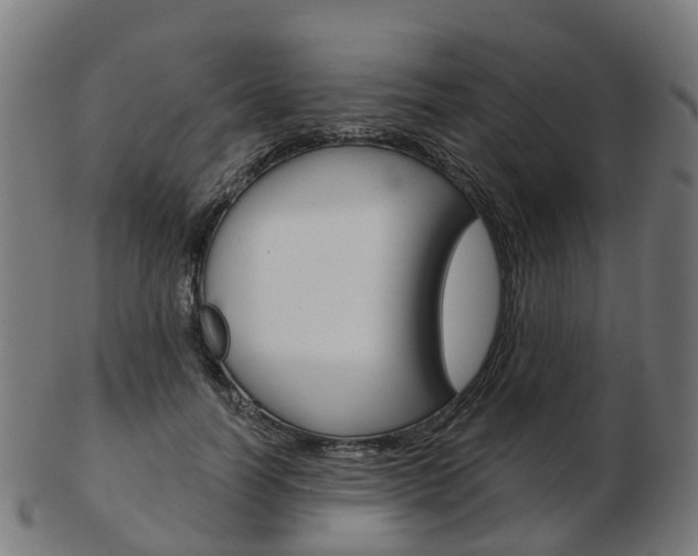 X0000103490746200809120950