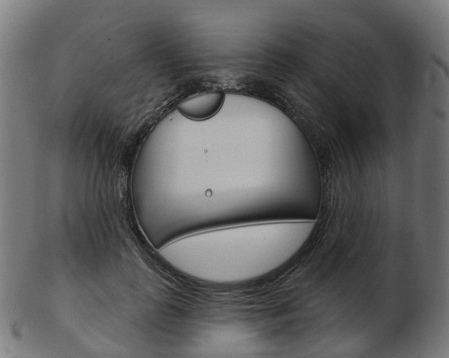 X0000103490747200809120950
