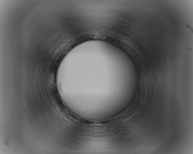 X0000103490748200809120950