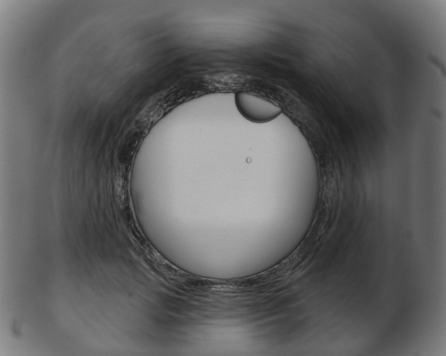 X0000103490749200809120950