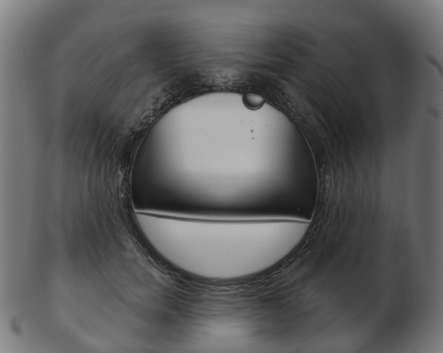 X0000103490750200809120950
