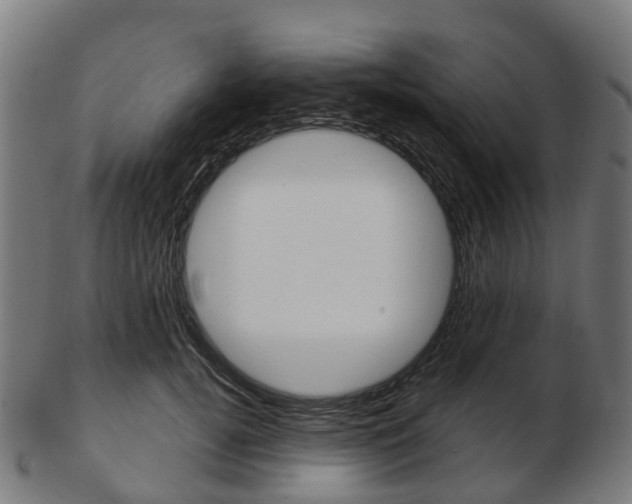 X0000103490752200809120950