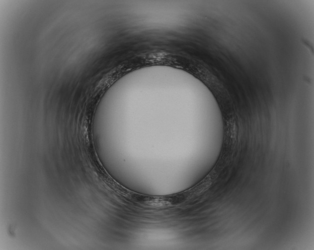 X0000103490754200809120950