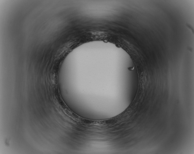 X0000103490756200809120950