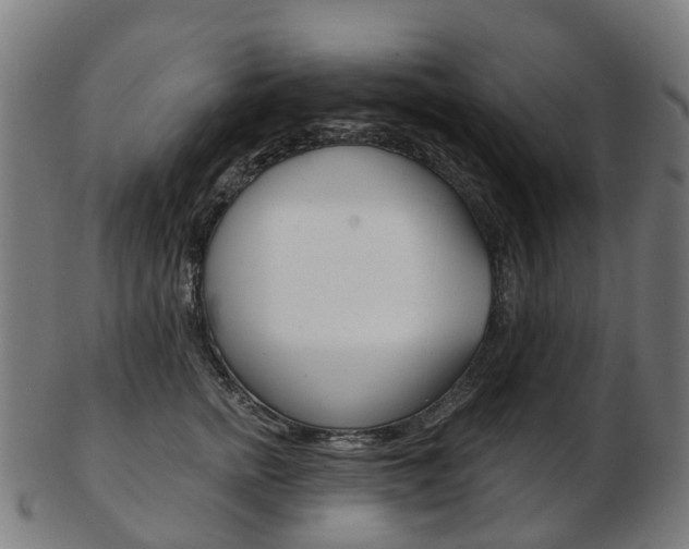 X0000103490758200809120950