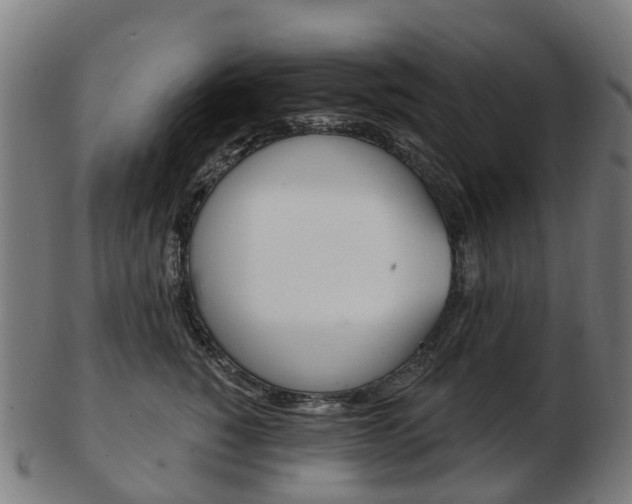 X0000103490760200809120950