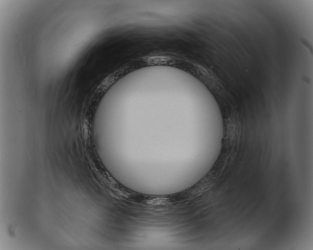 X0000103490761200809120950