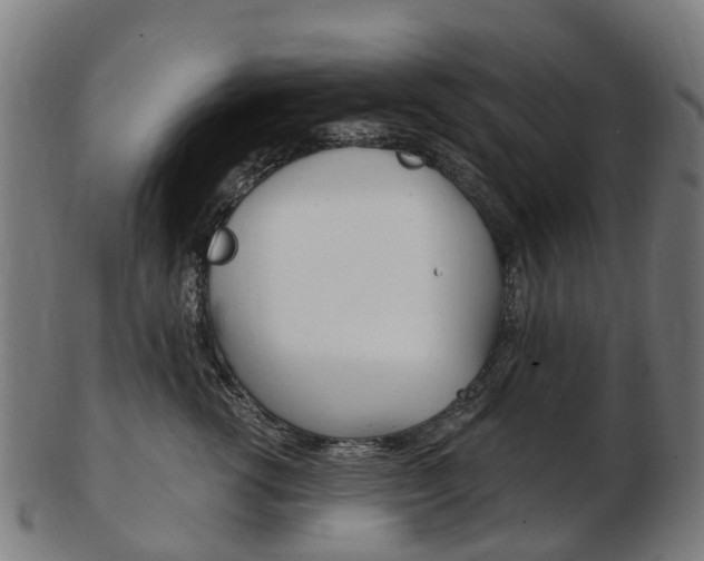 X0000103490762200809120950