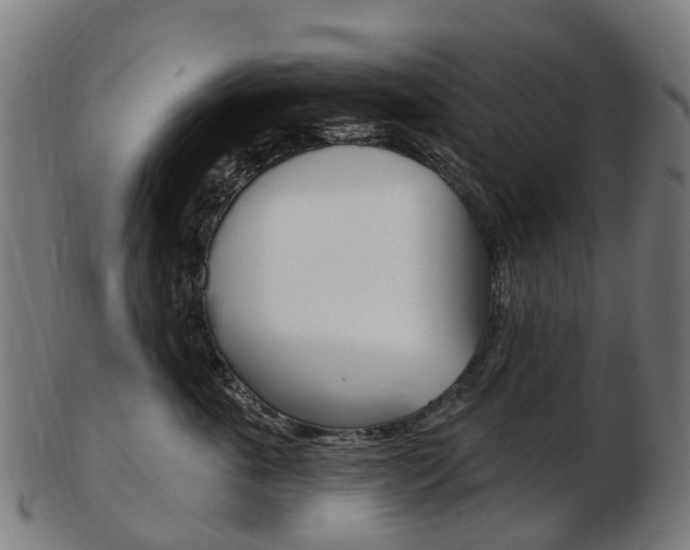 X0000103490763200809120950