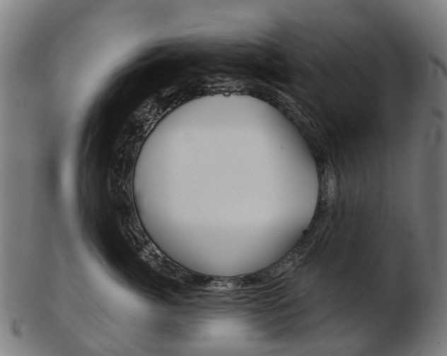 X0000103490764200809120950