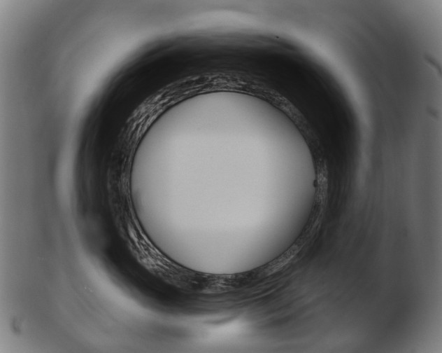 X0000103490765200809120950
