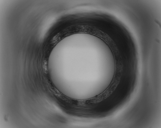 X0000103490766200809120950