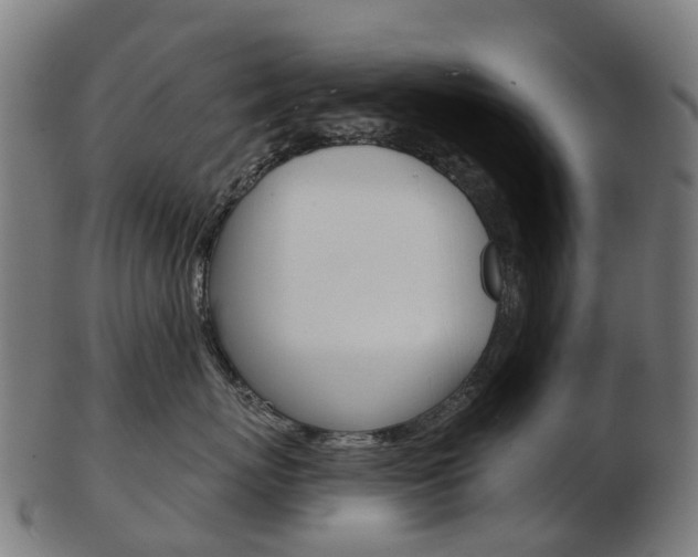 X0000103490767200809120950