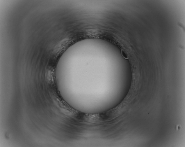 X0000103490768200809120950