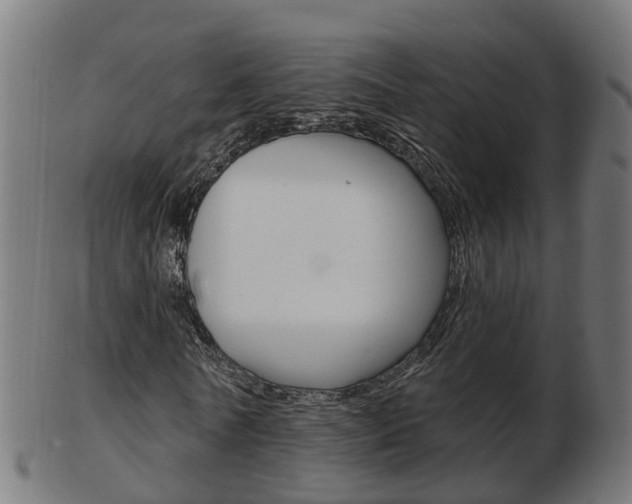 X0000103490770200809120949