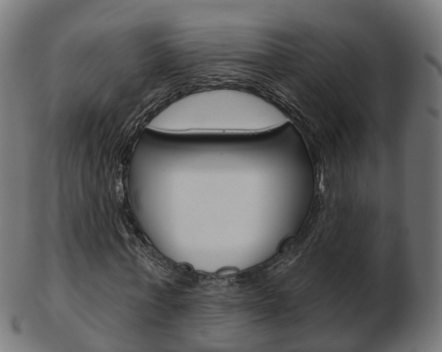 X0000103490771200809120949