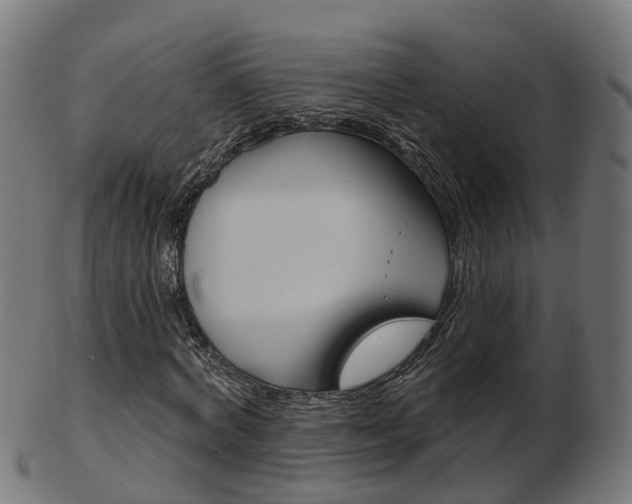 X0000103490772200809120949