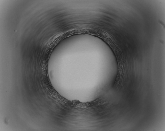 X0000103490773200809120949