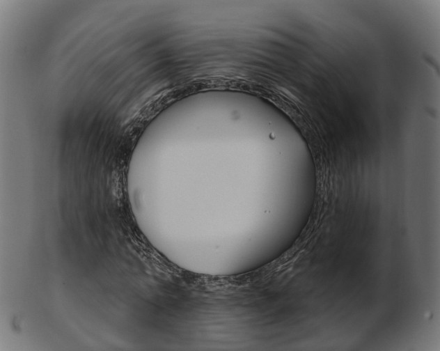 X0000103490774200809120949