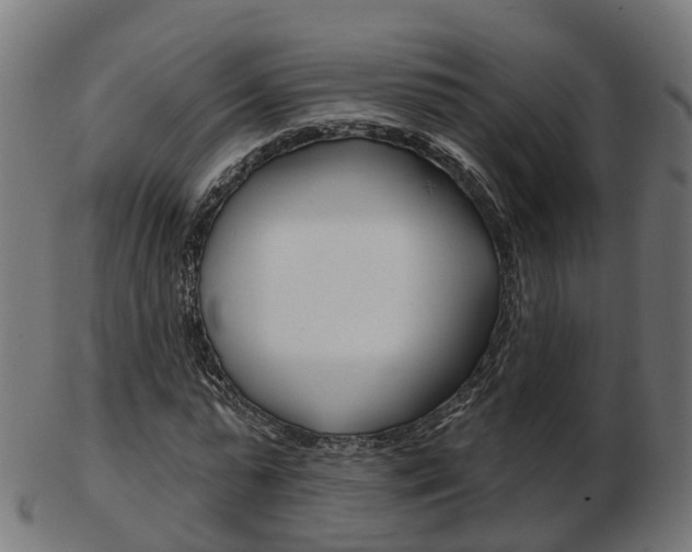 X0000103490775200809120949