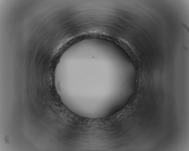 X0000103490776200809120949
