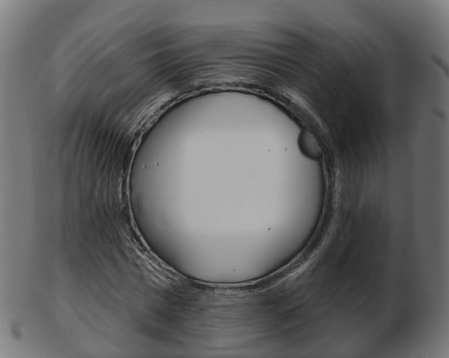 X0000103490777200809120949