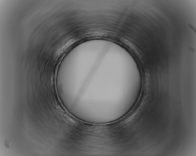 X0000103490778200809120949
