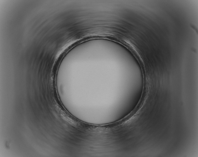 X0000103490779200809120949