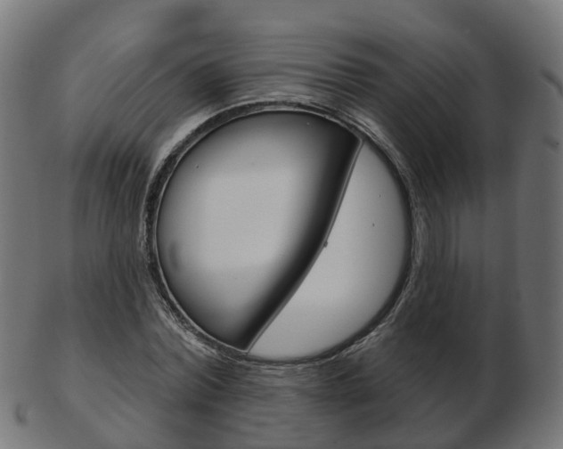 X0000103490780200809120949