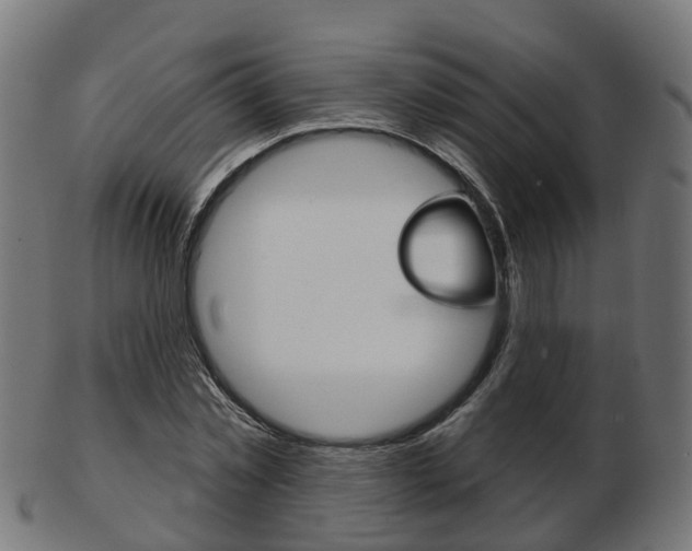 X0000103490781200809120949