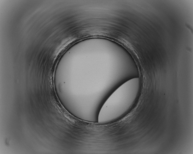 X0000103490782200809120949