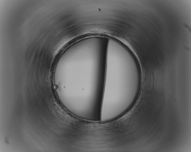 X0000103490783200809120949