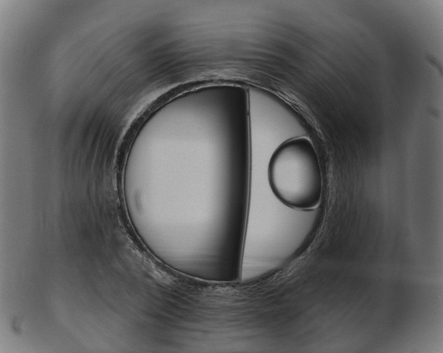 X0000103490784200809120949