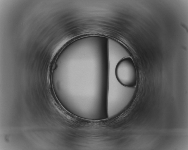 X0000103490788200809120949