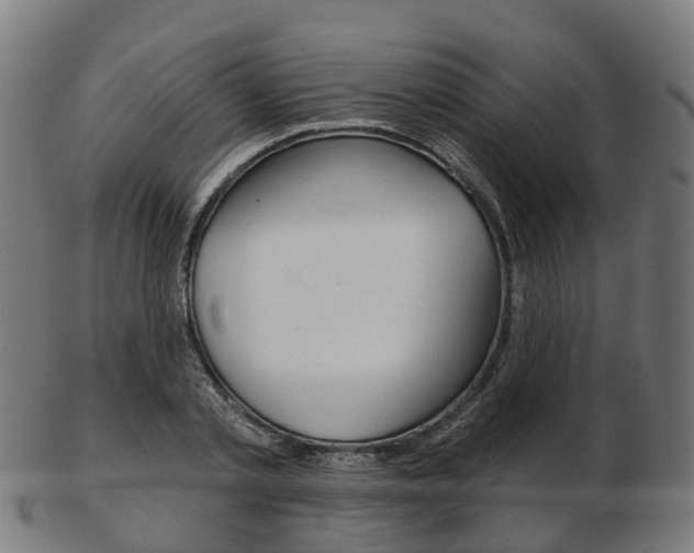 X0000103490789200809120949