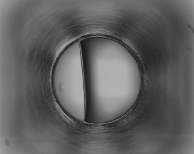 X0000103490791200809120949