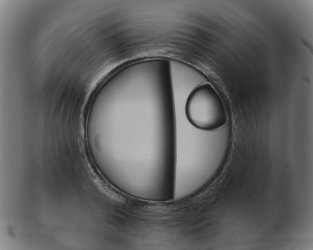 X0000103490792200809120949