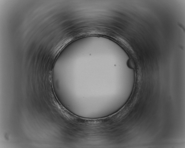 X0000103490793200809120949