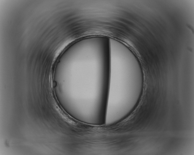 X0000103490796200809120949