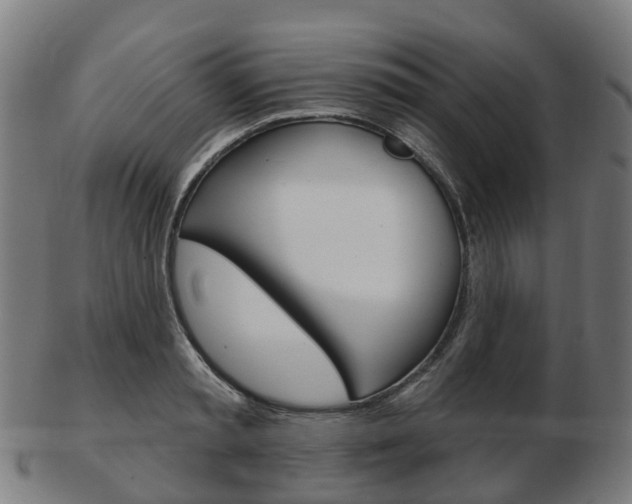 X0000103490797200809120949