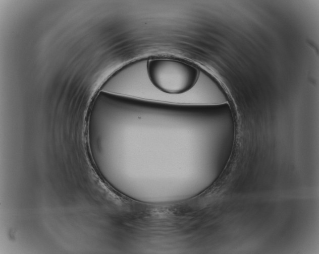 X0000103490799200809120949